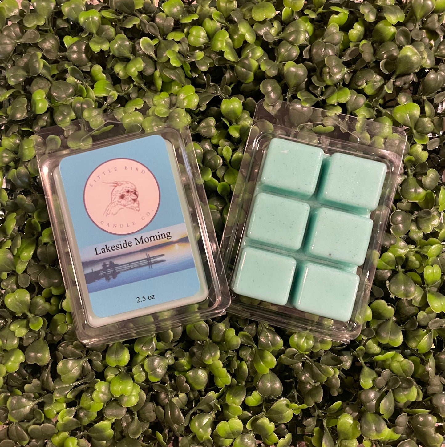 2.5 oz. Wax Melts